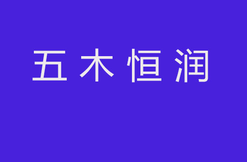 一體化作戰(zhàn)條件下的綜合信息系統(tǒng)